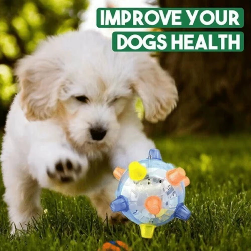 Pawactive Jumping Activation Ball – Flashing Light & Sound Interactive Toy for Dogs
